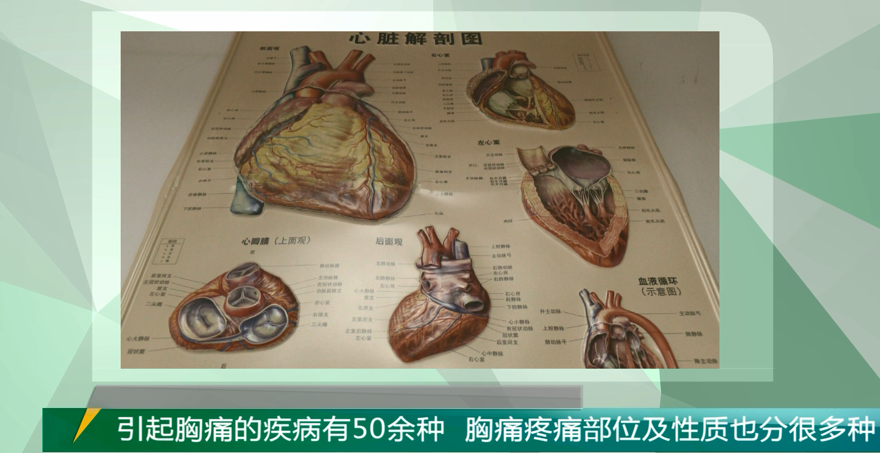 及时溶栓连续为2例急性心梗患者赢得生机